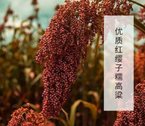 <b>赖世家传承百年酿造工艺,带您领略酱香型白酒</b>