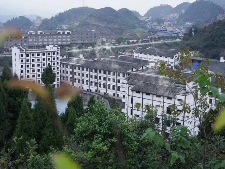 发展历程